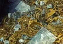 एलुरु में ₹7 करोड़ के सोने की चोरी: पत्नी के अपमान का बदला लेने के लिए कर्मचारी बना चोर